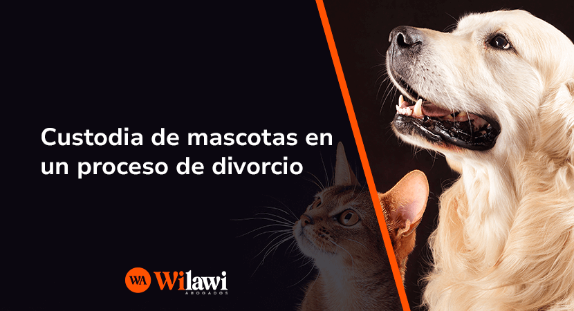 Custodia de las mascotas en un proceso de divorcio